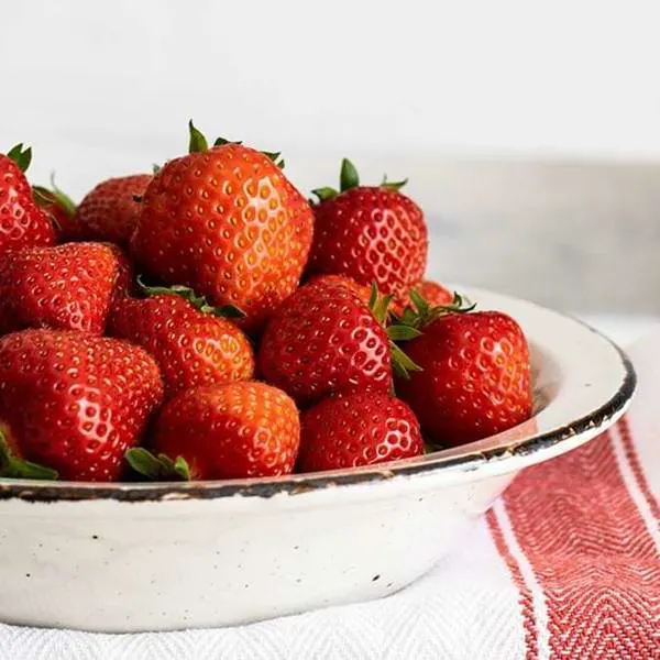 Autocueillette des fraises : comment choisir les meilleures