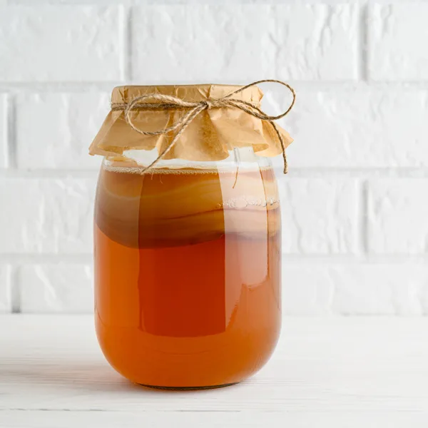 Petit guide sur le kombucha maison