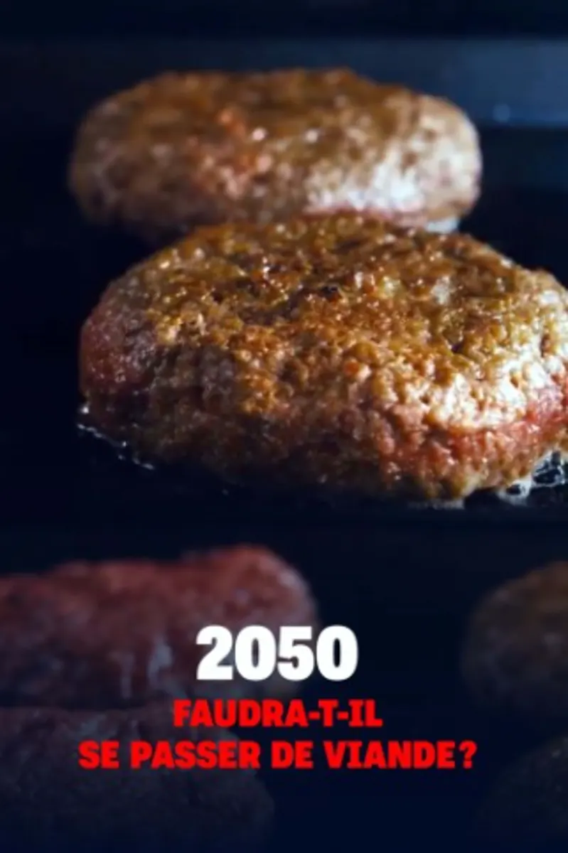 2050 : Faudra-t-il se passer de viande?