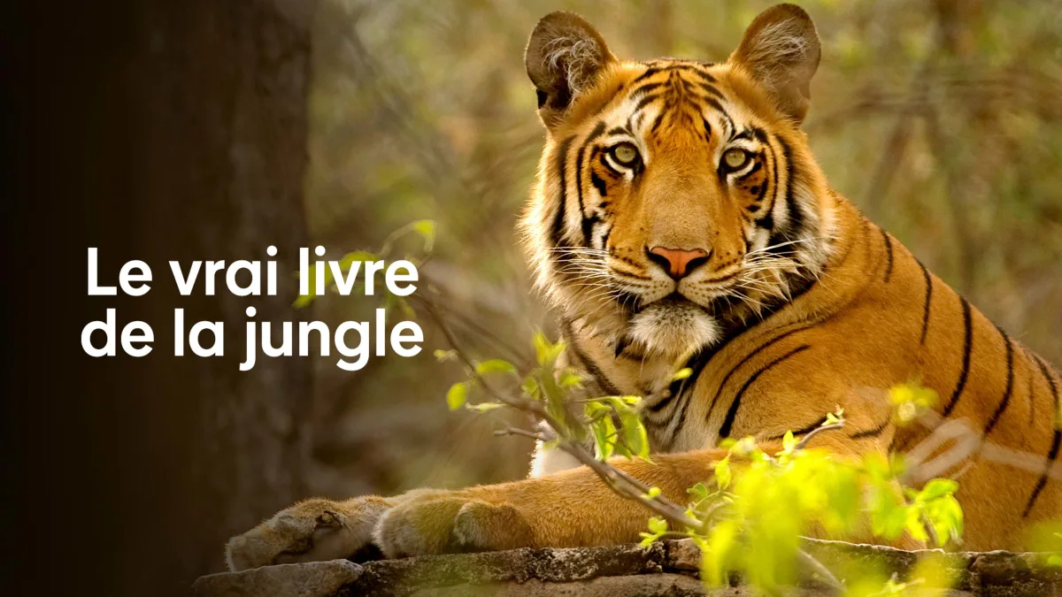 Le vrai livre de la jungle