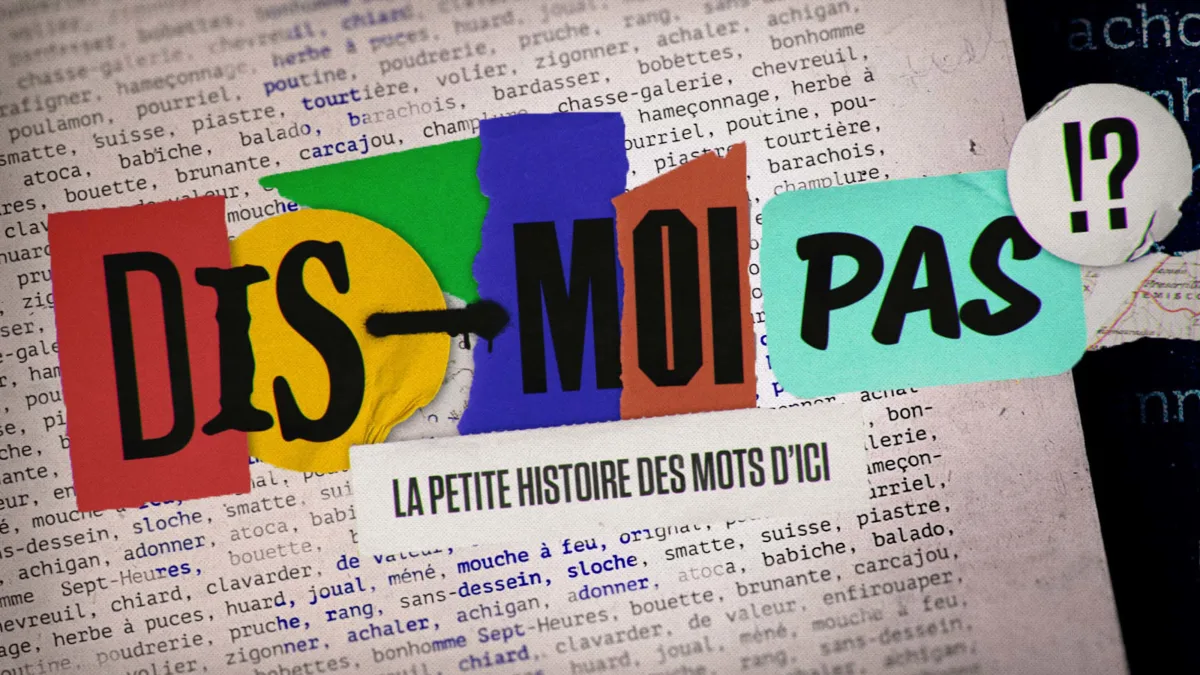 Dis-moi pas!? La petite histoire des mots d'ici