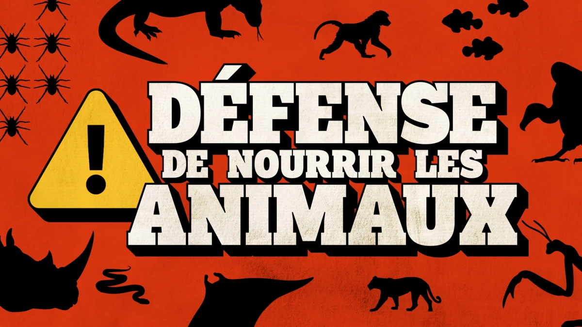 Défense de nourrir les animaux