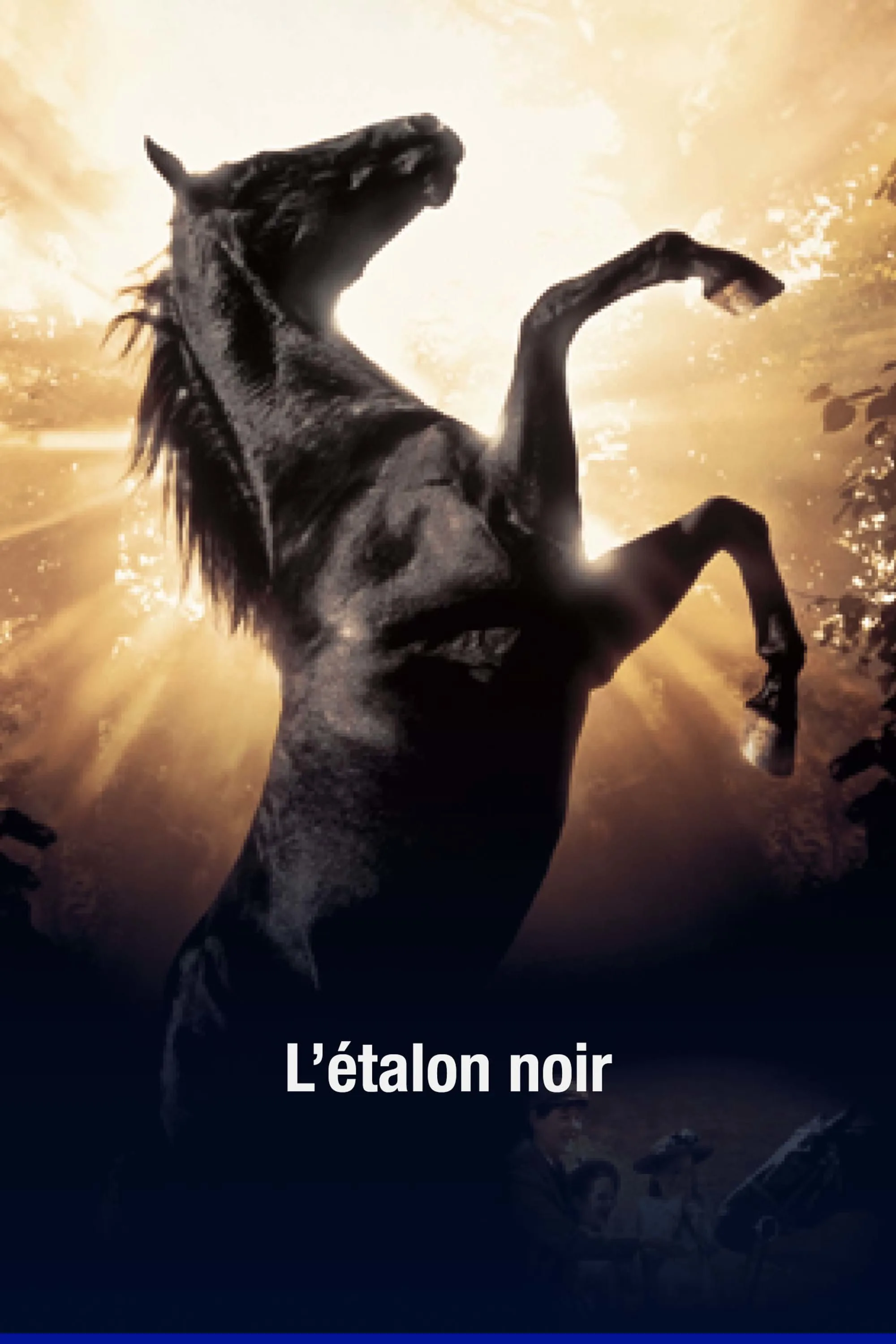 L'étalon noir