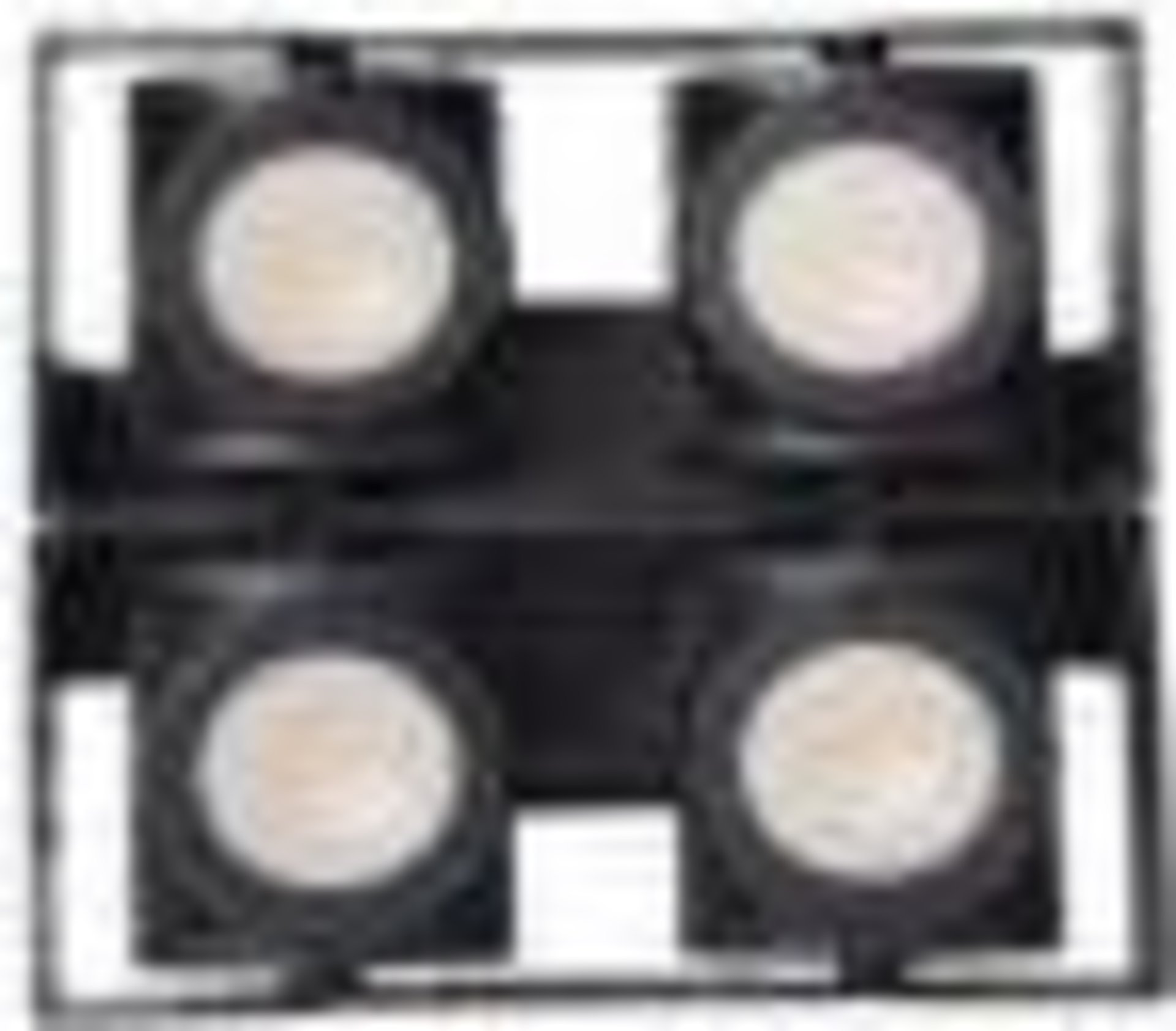 IP65 4 EYES BLINDER