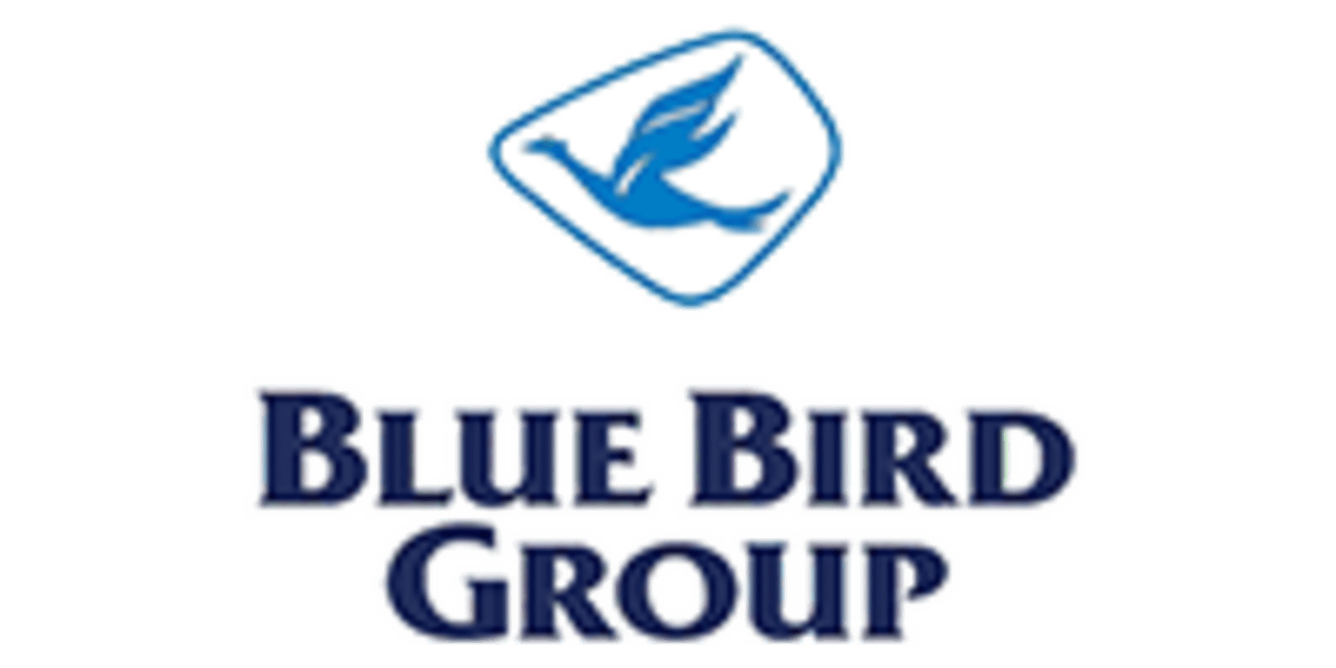 Logo Blue Bird Group — klien NAREMAX