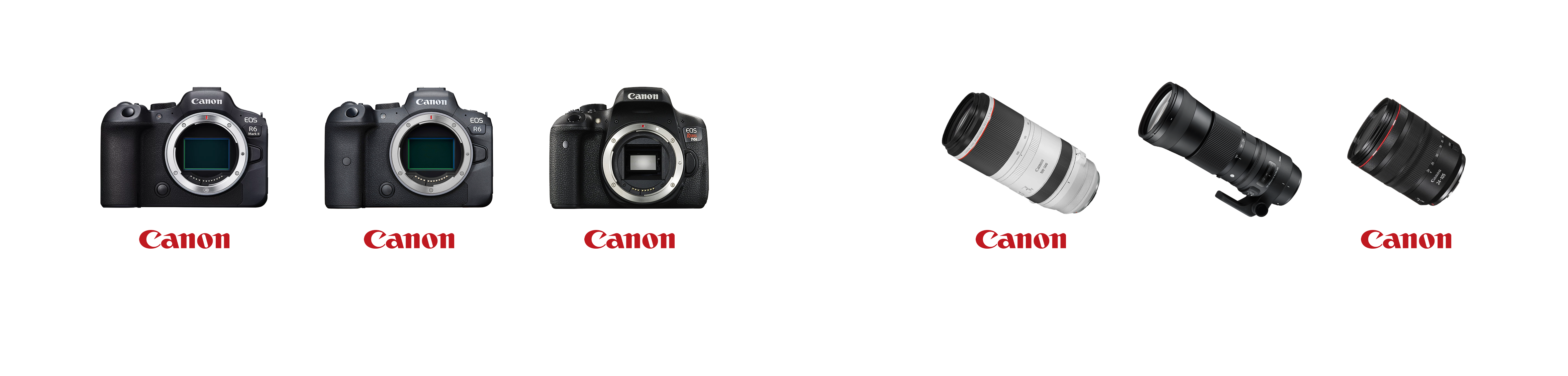 Equipment Graphic