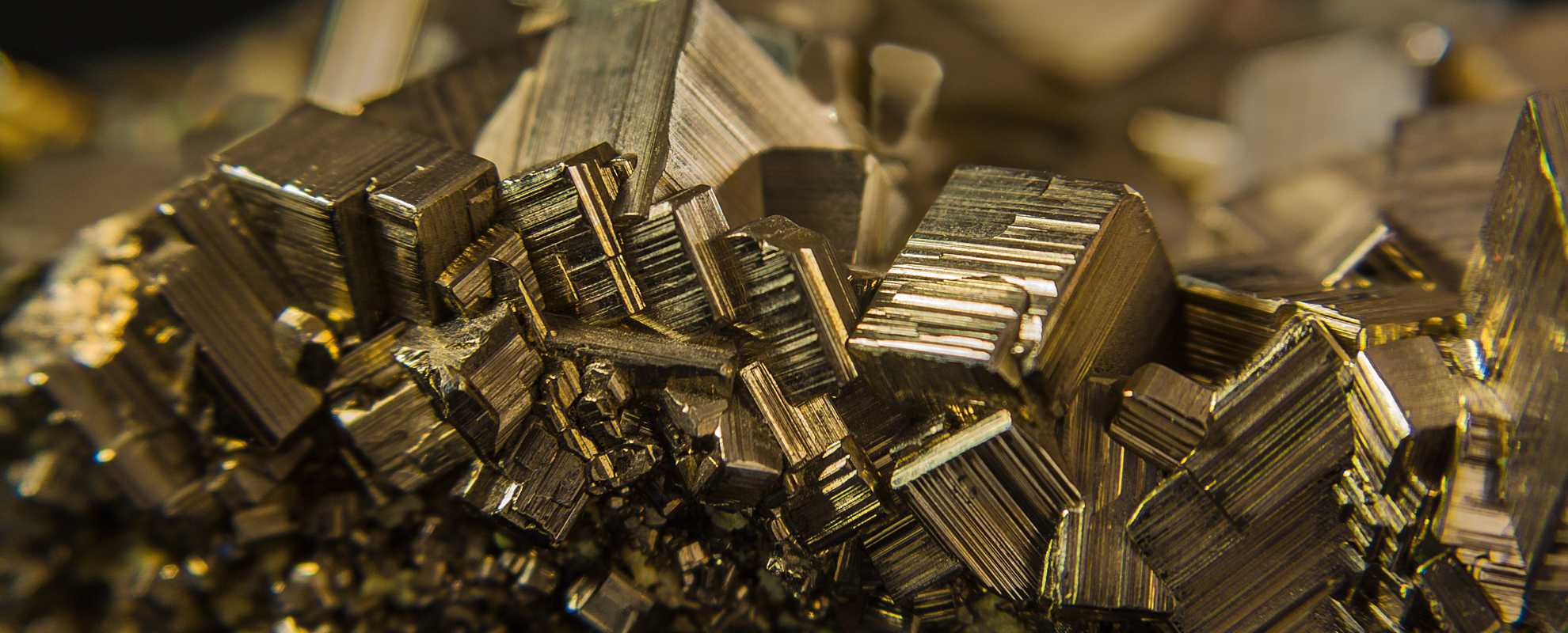 A cluster of iron pyrite, otherwise known as fools gold