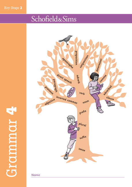 Grammar and Punctuation Book 4 (Year 4) Image