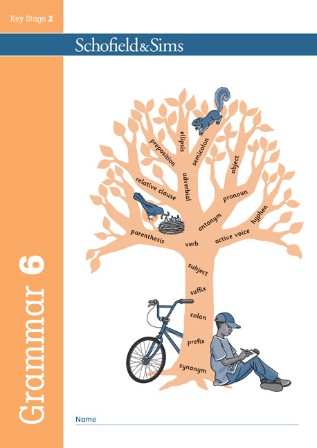 Grammar and Punctuation Book 6 (Year 6) Image