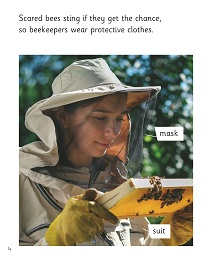 Beautiful Bees: My Letters and Sounds Phase Five Phonics Reader Inner Page Image