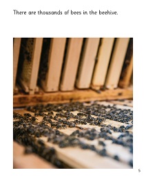 Beautiful Bees: My Letters and Sounds Phase Five Phonics Reader Inner Page Image