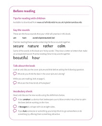 Beautiful Bees: My Letters and Sounds Phase Five Phonics Reader Notes & Guidance Image