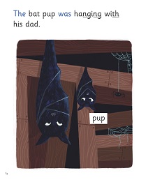 Cubs and Pups: My Letters and Sounds Phase Three Phonics Reader Inner Page Image