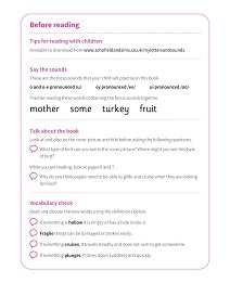 How Do They Fly?: My Letters and Sounds Phase Five Phonics Reader Notes & Guidance Image