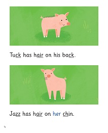 Sal the Sow: My Letters and Sounds Phase Three Phonics Reader Inner Page Image