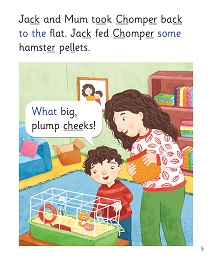The Missing Hamster: My Letters and Sounds Phase Four Phonics Reader Inner Page Image