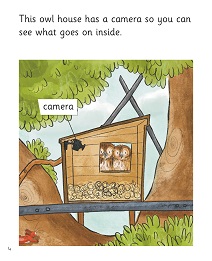 The Nest Box: My Letters and Sounds Phase Five Phonics Reader Inner Page Image