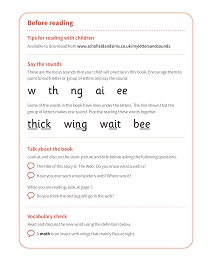 The Web: My Letters and Sounds Phase Three Phonics Reader Notes & Guidance Image