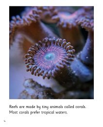 Treasures Under the Sea: My Letters and Sounds Phase Five Phonics Reader Inner Page Image