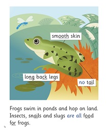 What Am I?: My Letters and Sounds Phase Four Phonics Reader Inner Page Image