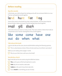 What Am I?: My Letters and Sounds Phase Four Phonics Reader Notes & Guidance Image