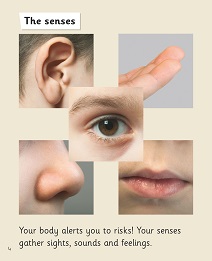 Your Amazing Body: My Letters and Sounds Phase Five Phonics Reader Inner Page Image