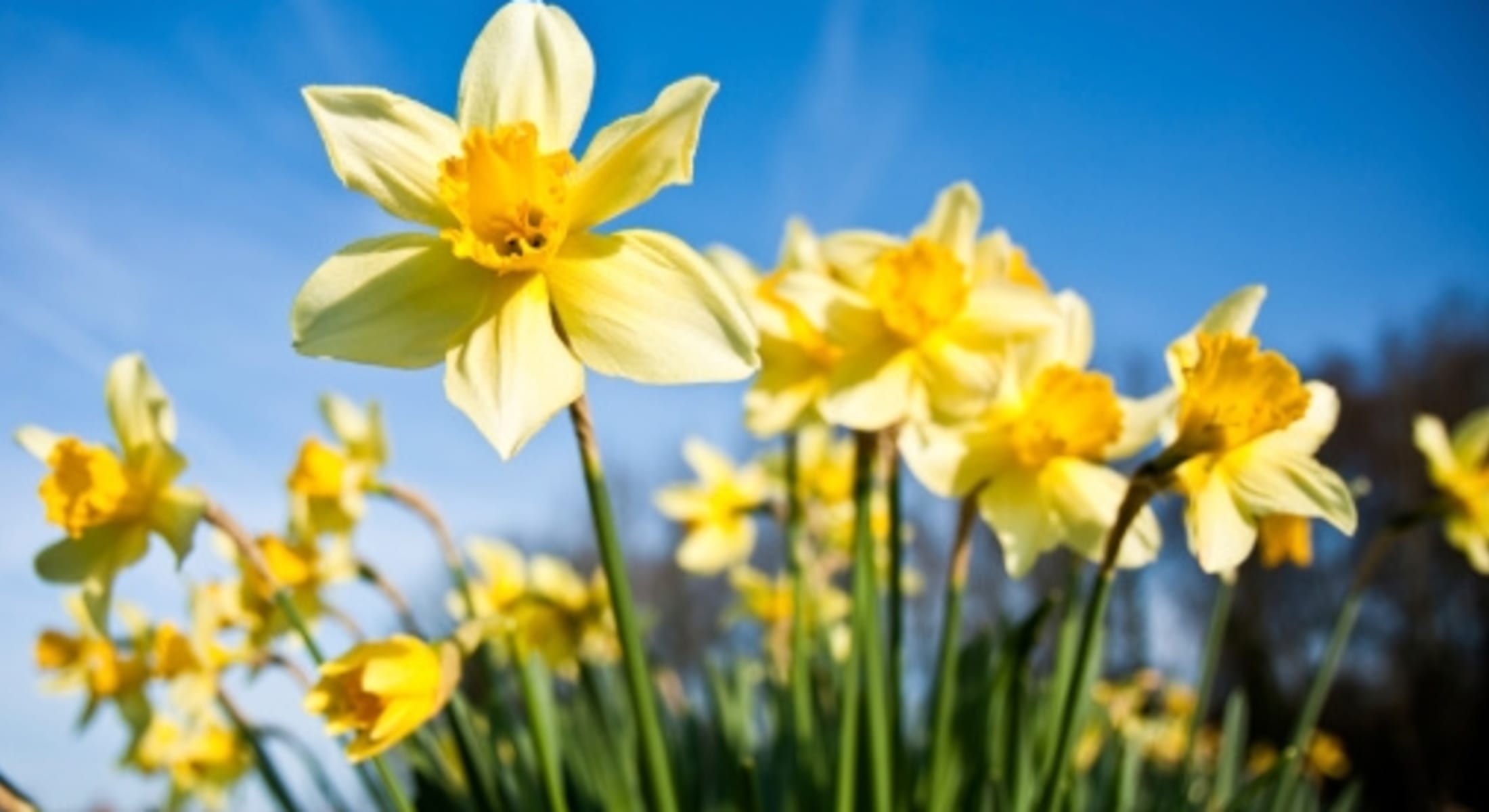 March - New beginnings