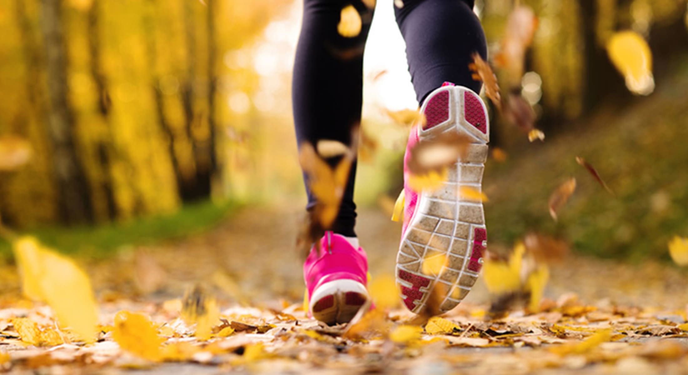 September - Fresh starts and new routines