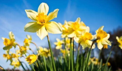 March - New beginnings