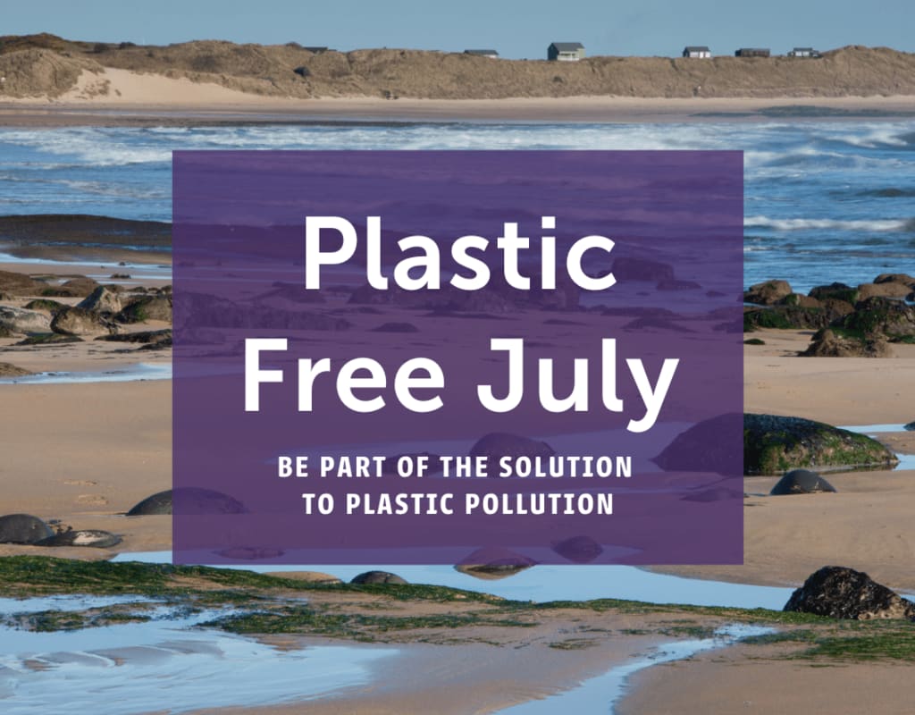Plastic Free July