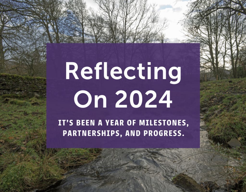 Reflecting On 2024 - Blog