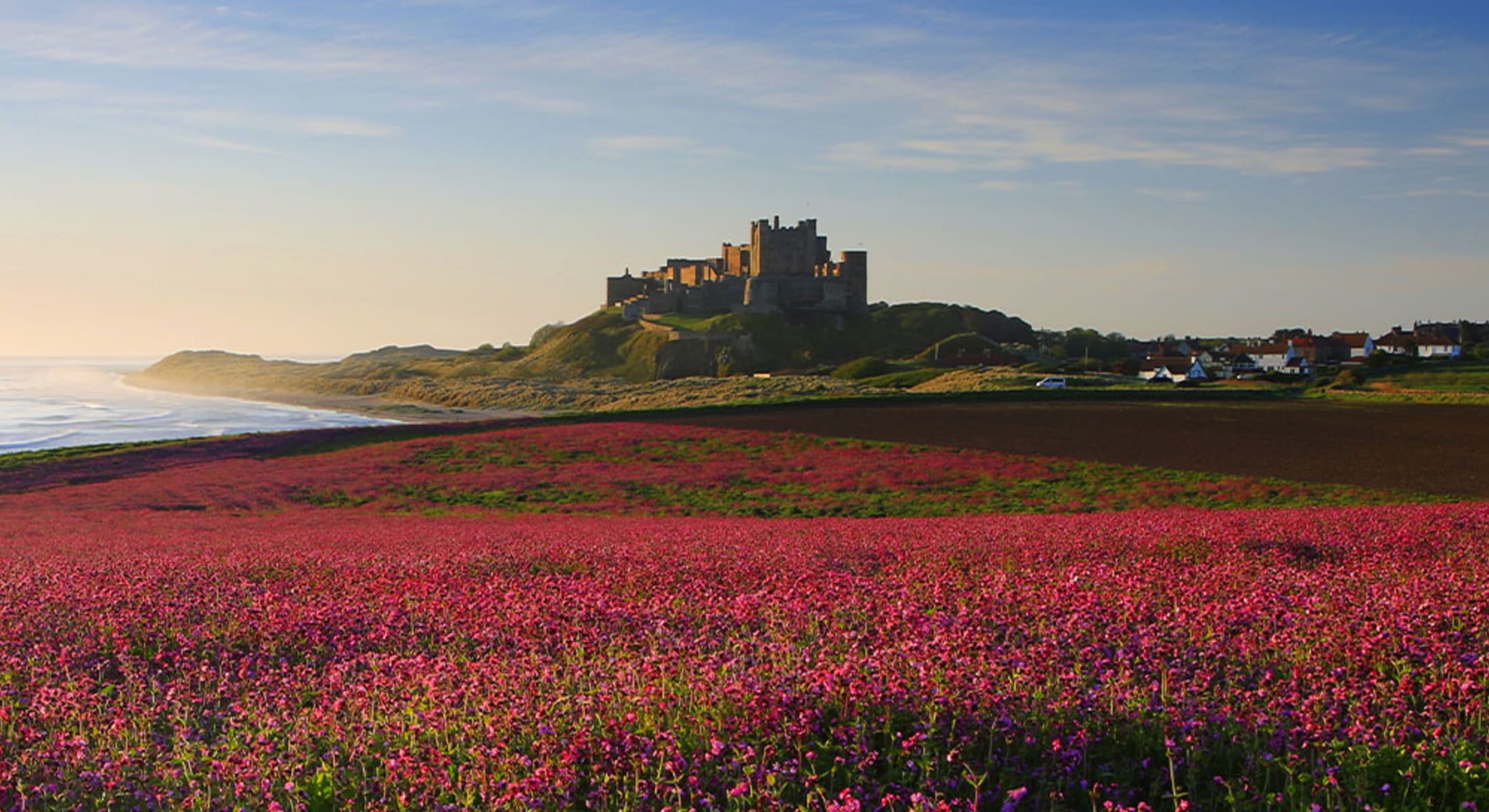 northumberland masthead