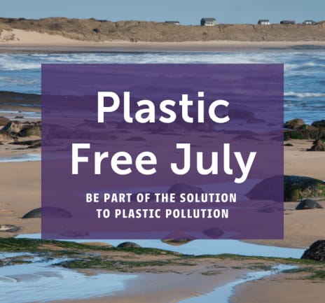 Plastic Free July