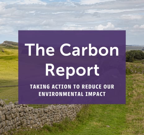 The Carbon Report - Blog