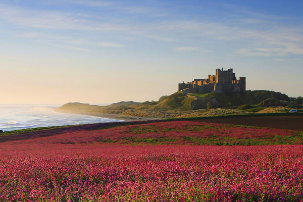 Bambrough Castle in Northumberland