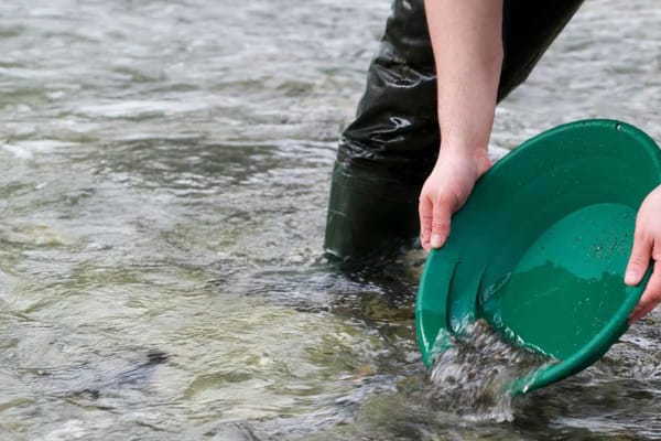 A gold prospector, stood in a Cornish river, panning for gold