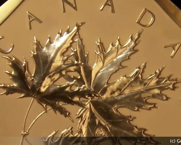 Million Dollar Maple