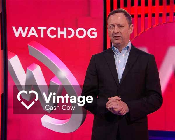 Journalist Matt Allwright reports on Vintage Cash Cow