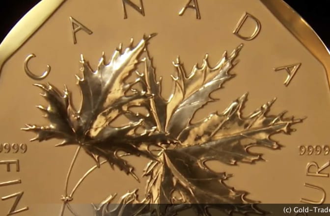 Million Dollar Maple