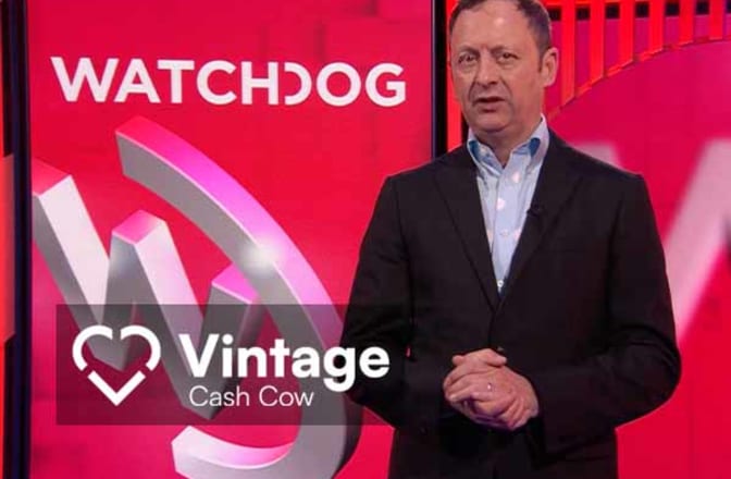 Journalist Matt Allwright reports on Vintage Cash Cow