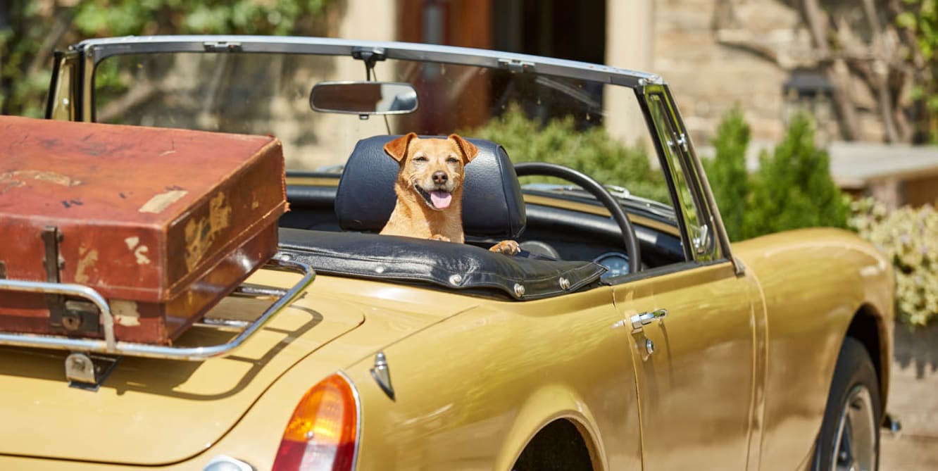 Short Breaks with us