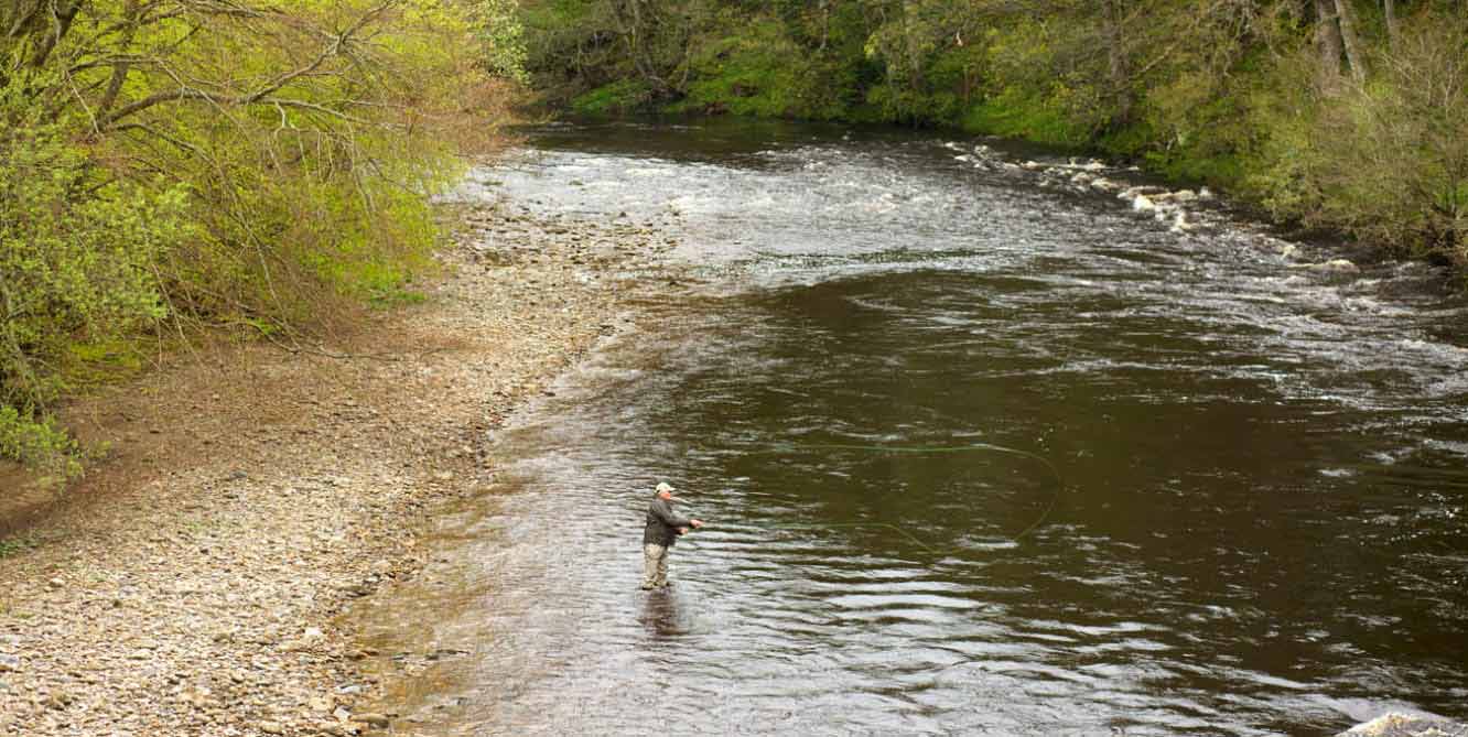 guided-fly-fishing-experience