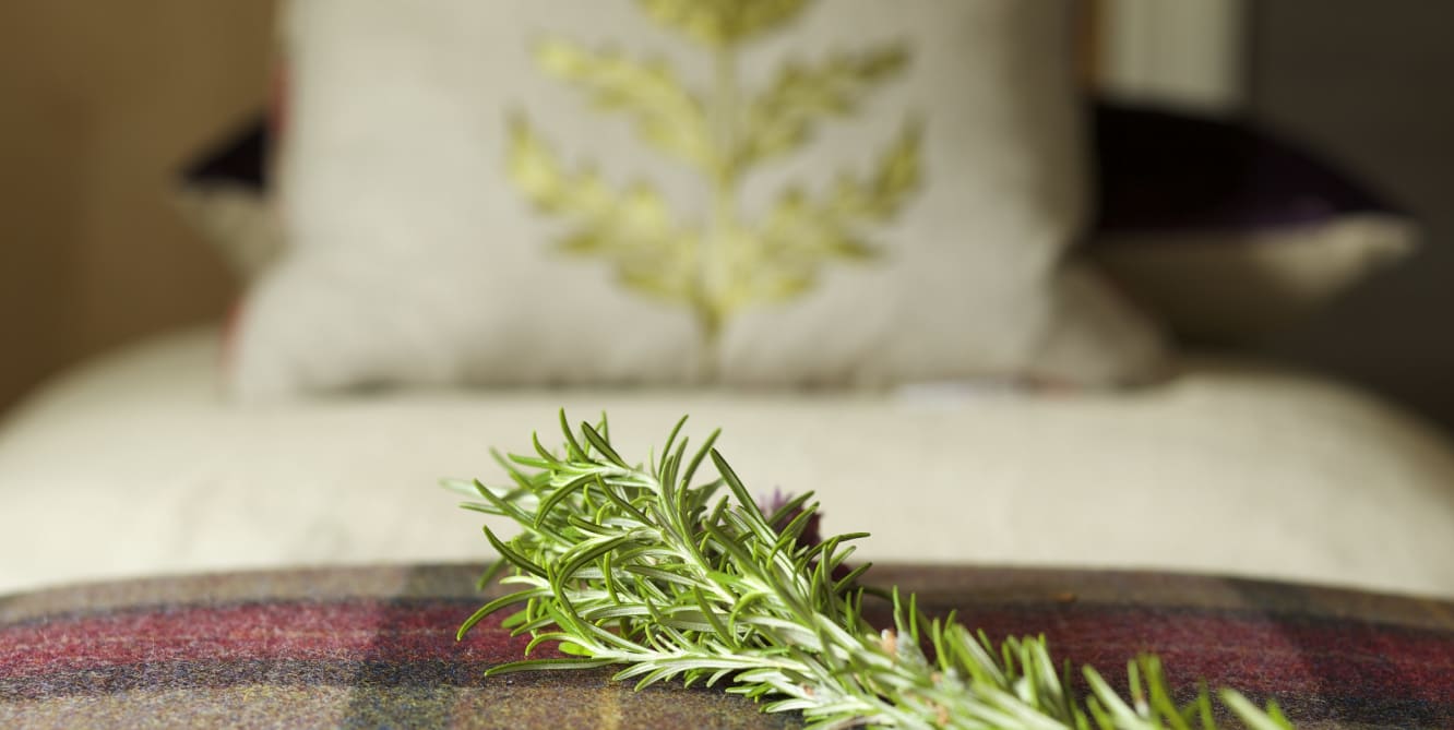 detail-of-darlington-hotel