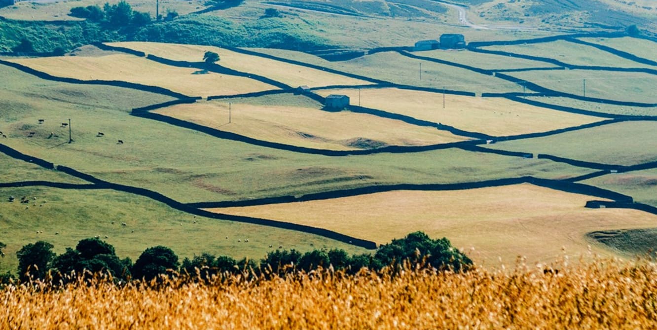 summer time in yorkshire