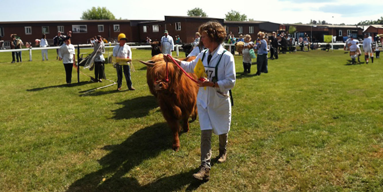 show season great start