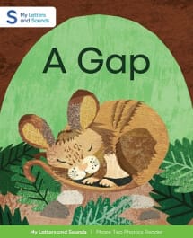 A Gap: My Letters and Sounds Phase Two Phonics Reader Thumbnail Image
