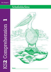 KS2 Comprehension 1: Year 3, Ages 7-8 Image