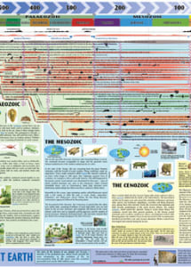 Super Jumbo History of the Planet Earth Image