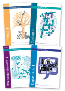 Year 6 English Homework Thumbnail Image