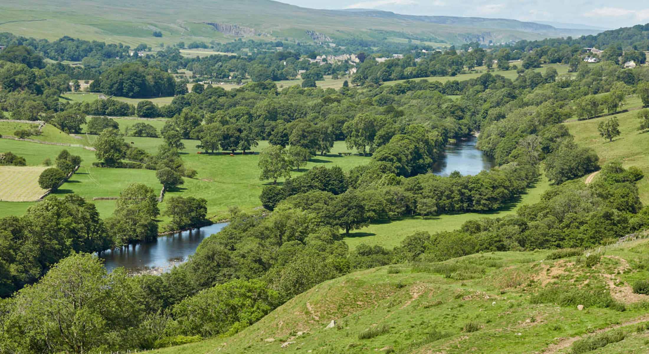 bird-sightings-north-yorkshire